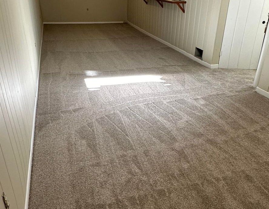 A carpeted room with light coming in, beige walls, and white paneling.