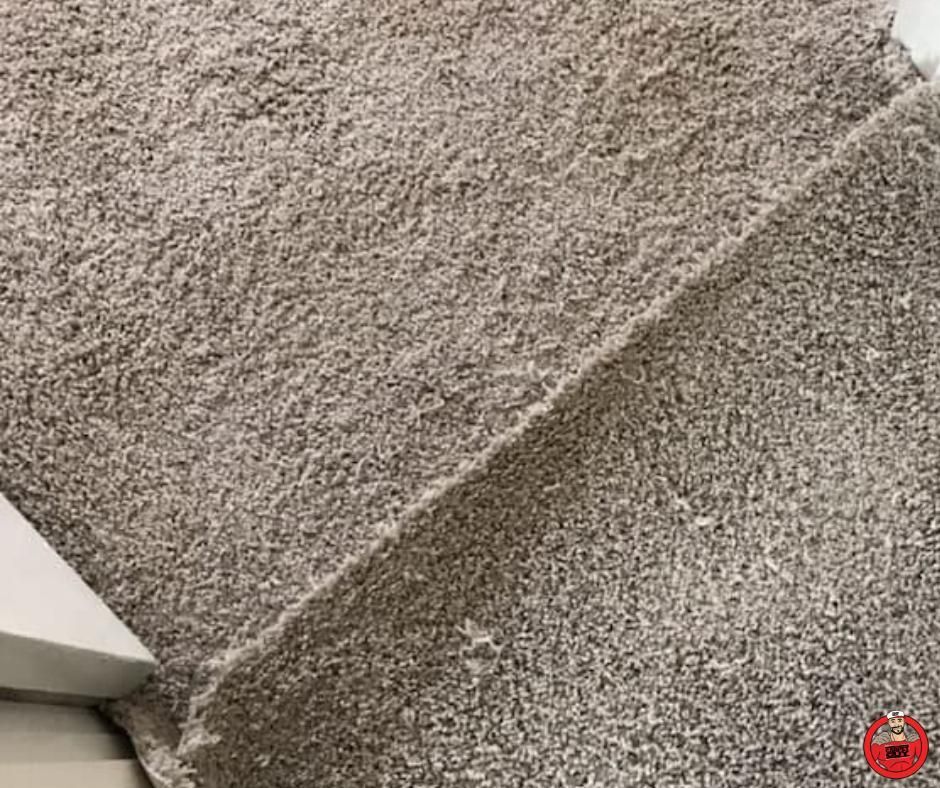Gray carpet detail with a seam and a white edge in a room.