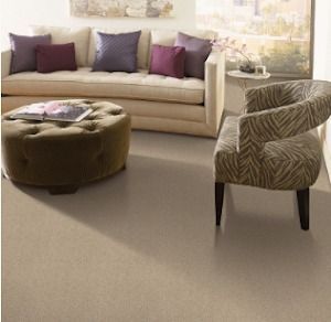 Living room with beige carpet, cream sofa, and patterned chair.