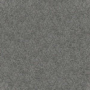 Gray, speckled carpet texture.
