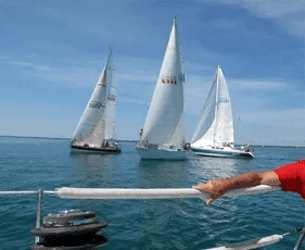 Learn More About Reorganization Hand shake