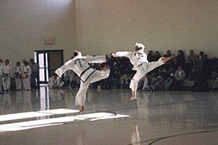 Taekwon-Do martial arts