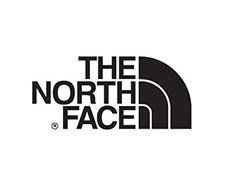 the north face logo