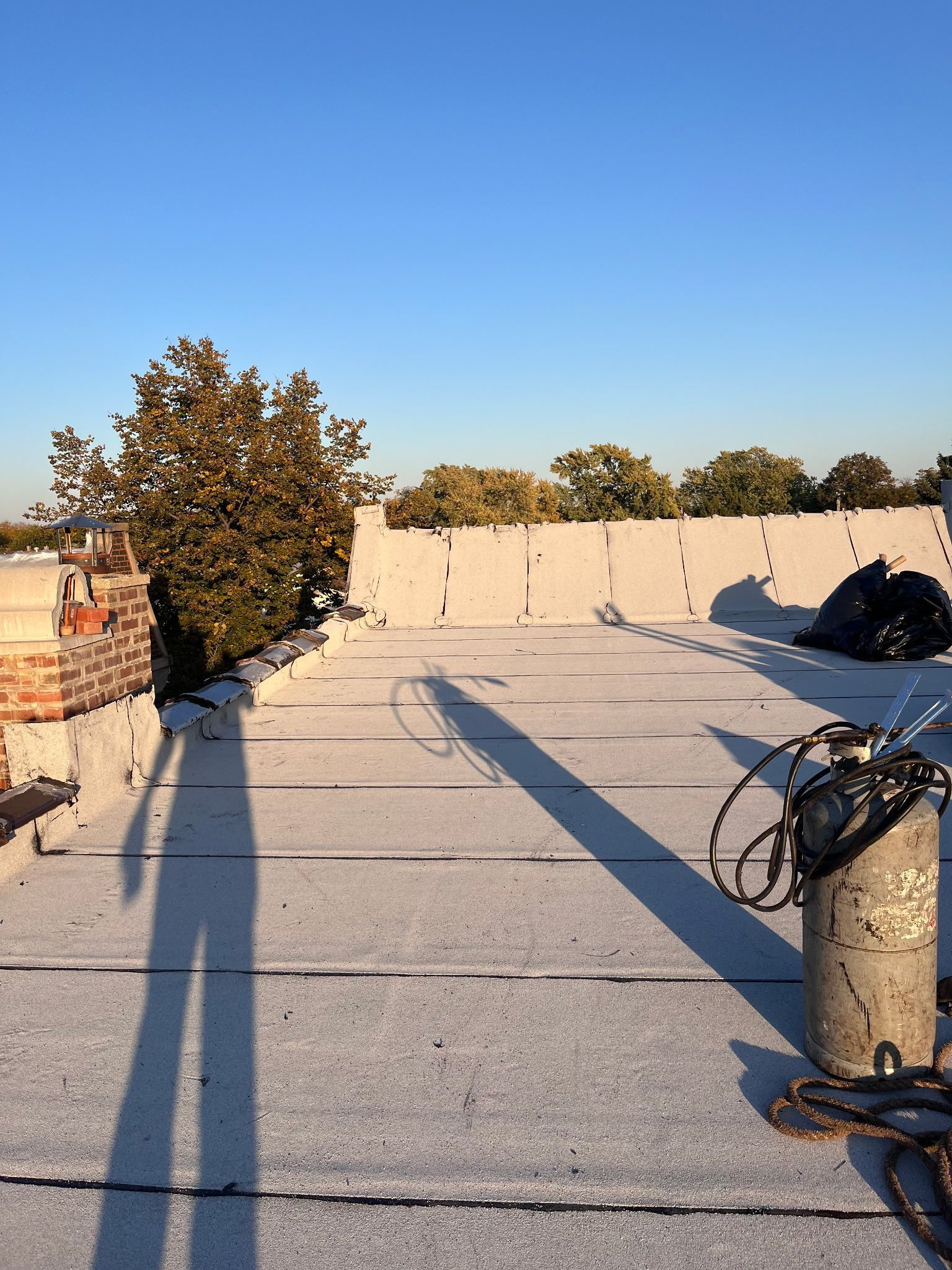 Rooftop view with tree, low wall, blue sky. Shadow of a person cast on white surface.