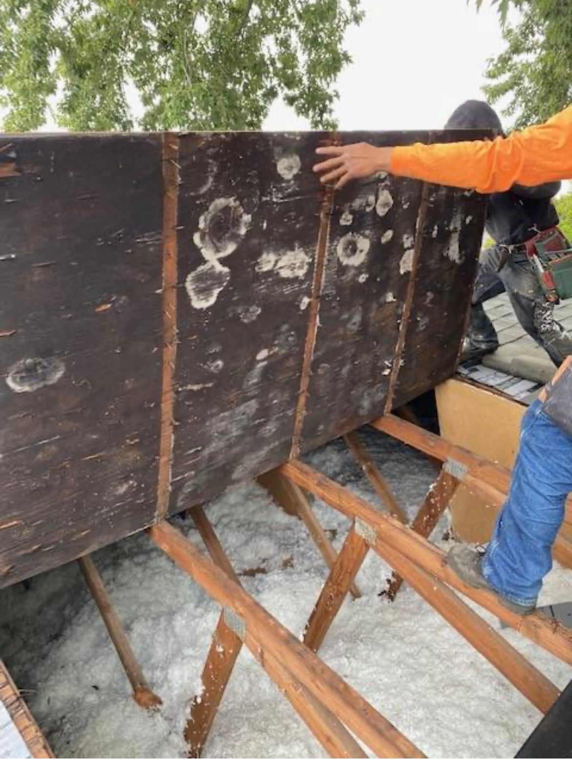 Workers lifting a large, dark-colored wooden structure from a roof. The structure rests on wooden supports above insulation.