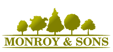 Monroy & Sons-logo