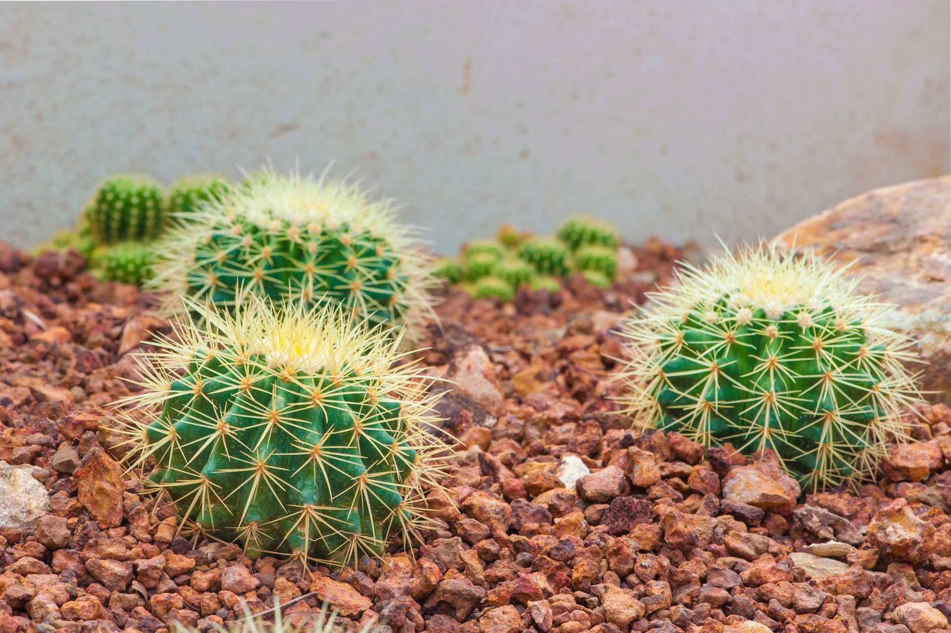 Improve a Home's Curb Appeal with Landscaping