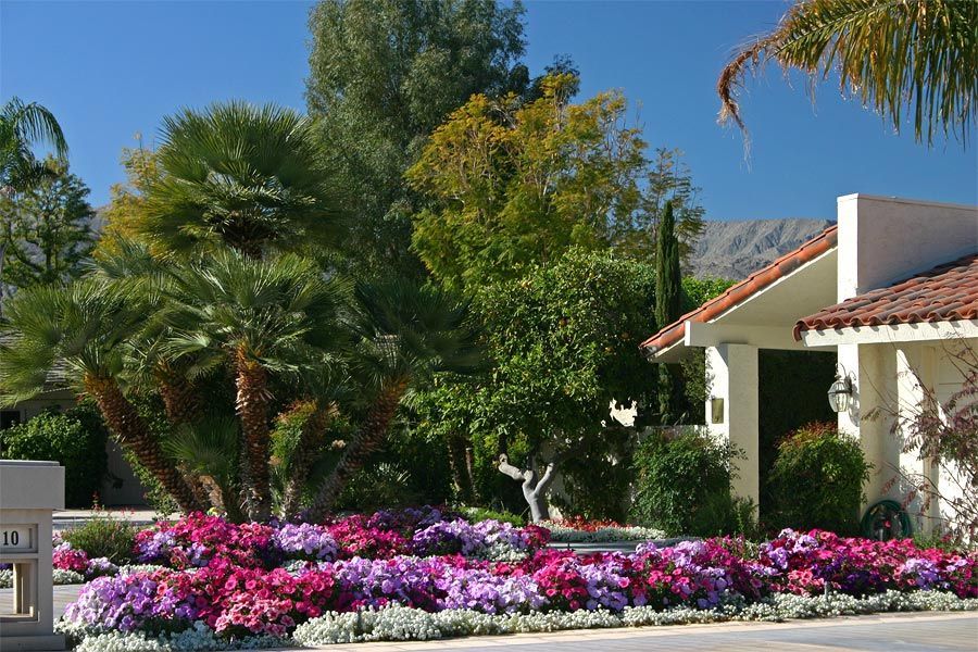 A white house with a red tile roof is surrounded by flowers and palm trees