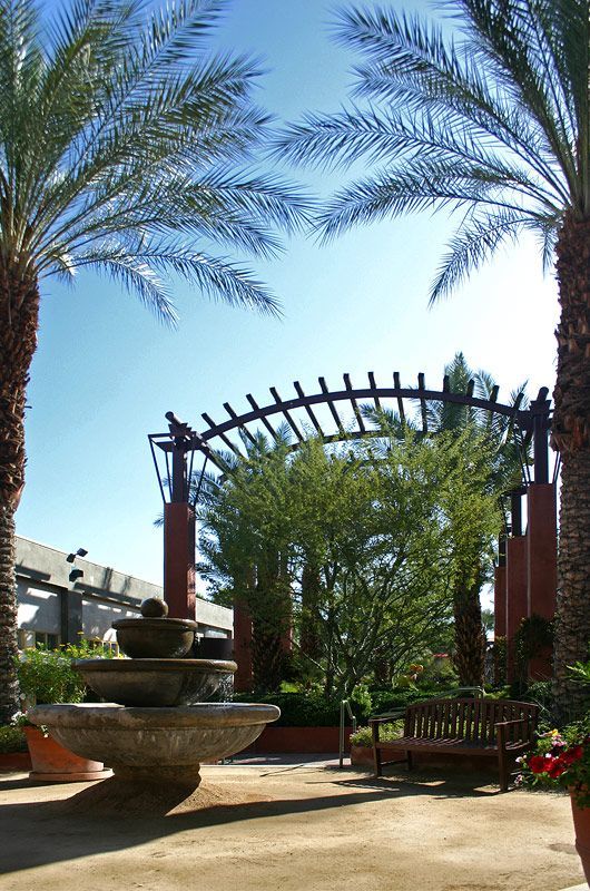 A fountain surrounded by palm trees in a park