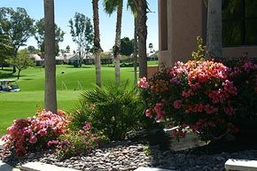 A view of a golf course from a house with flowers in the foreground.