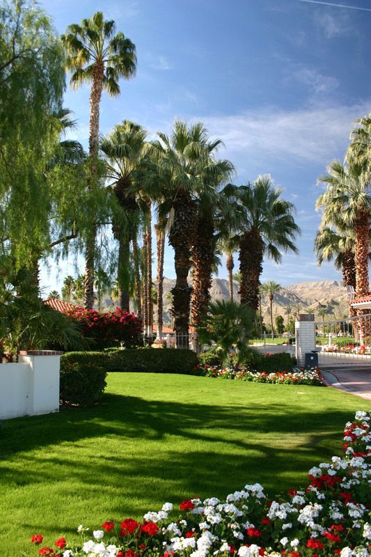 A lush green lawn with palm trees and flowers