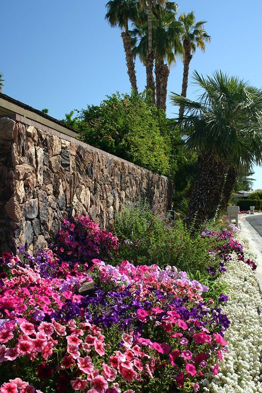A stone wall surrounded by flowers and palm trees
