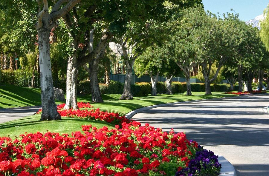A row of red and purple flowers on the side of a road