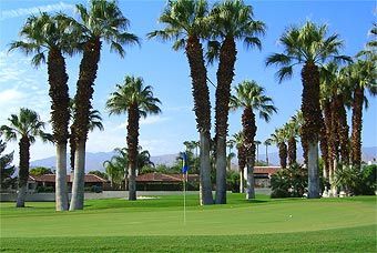 A row of palm trees on a golf course