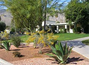 A house with a lot of plants in front of it