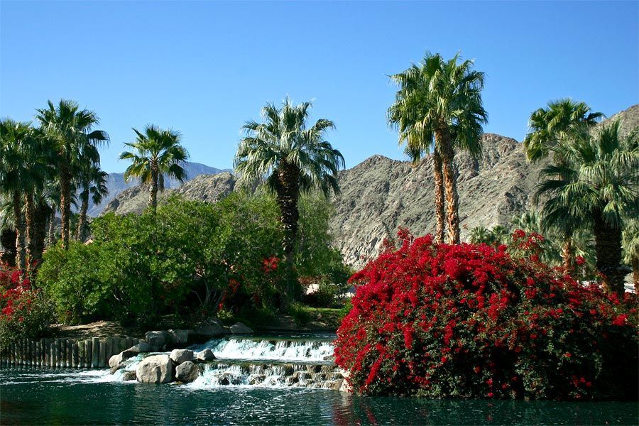 A waterfall in a park with palm trees and red flowers