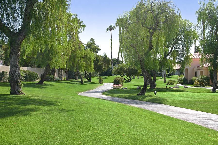 A lush green lawn with trees and a path leading to a house