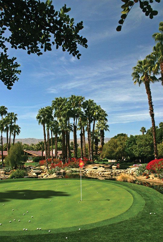 A golf course with palm trees in the background