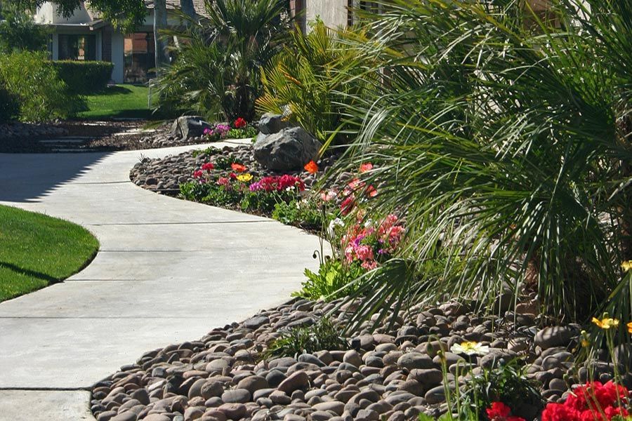 A concrete walkway surrounded by rocks and flowers