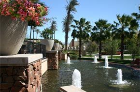 A fountain in a park with palm trees in the background