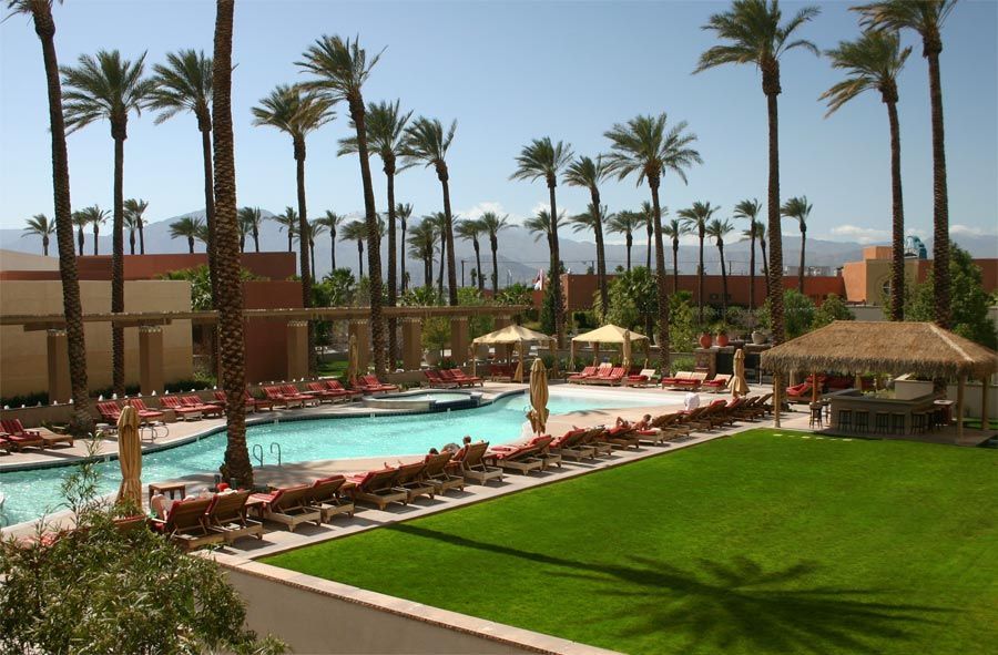 A large swimming pool surrounded by palm trees and chairs