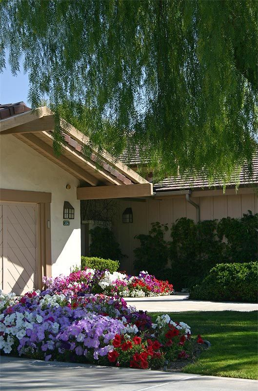 A house with lots of flowers in front of it