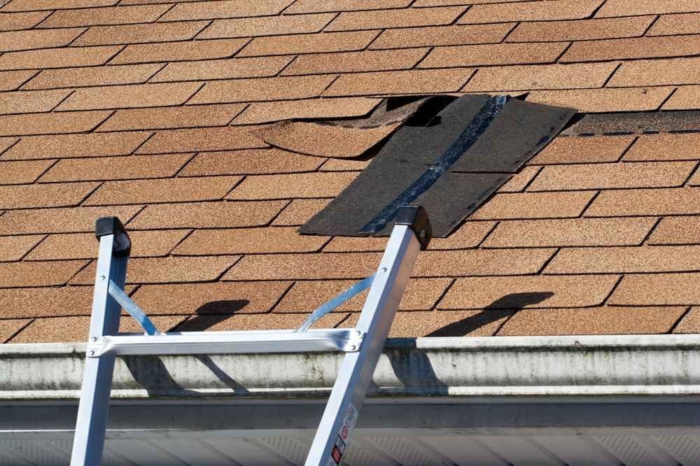 Roof with damaged shingles and a ladder leaning against the eave