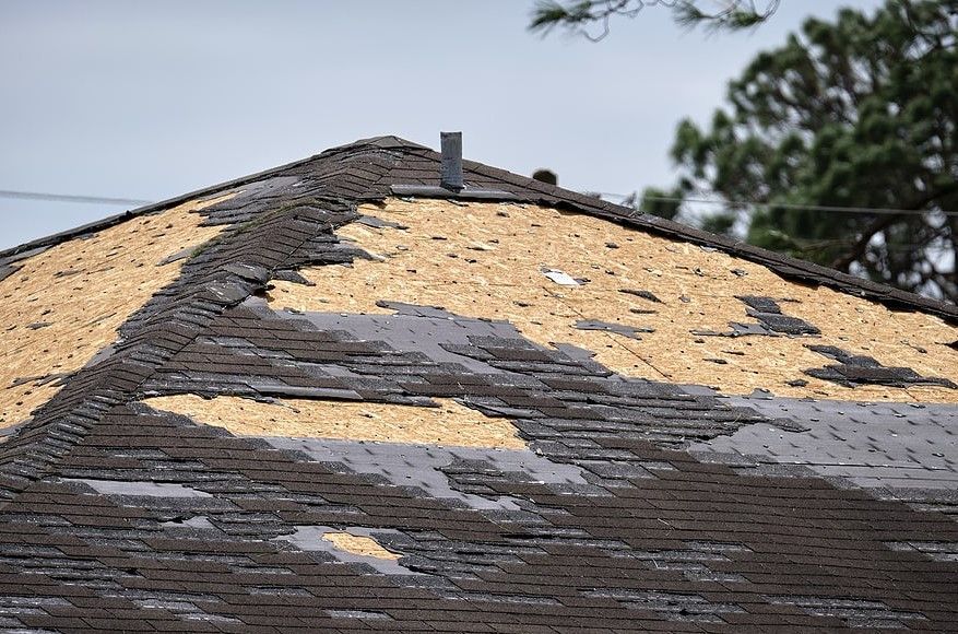 roof damage insurance claim in Warren County