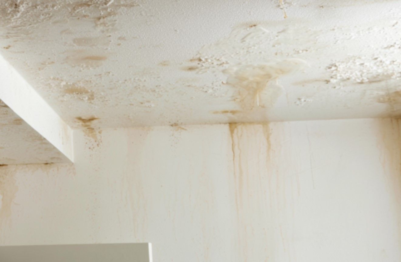 Water-stained ceiling and walls with mold-like discoloration and streaks