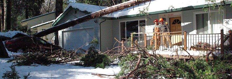 storm damage cleanup