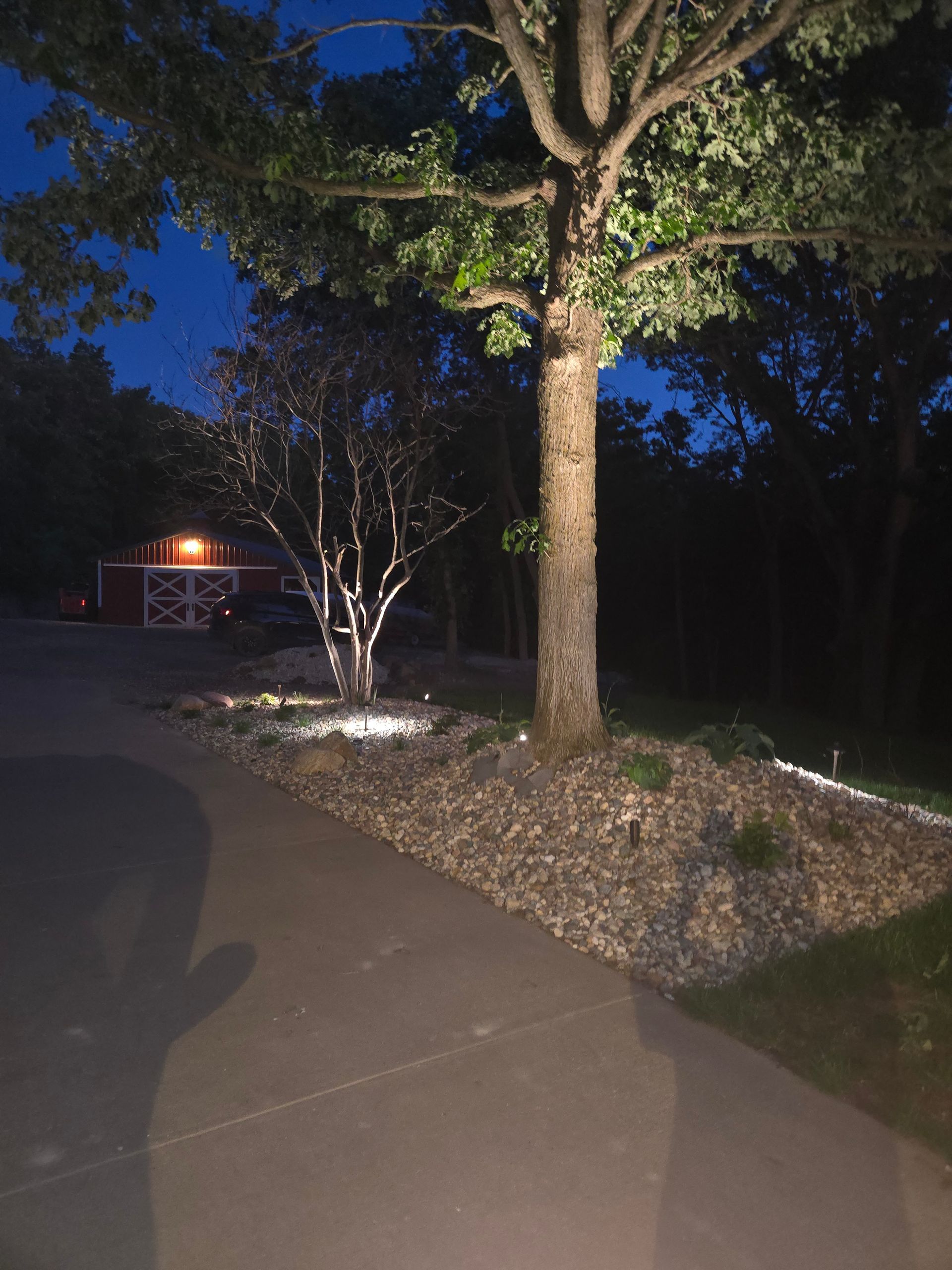 A tree is lit up at night in front of a garage.