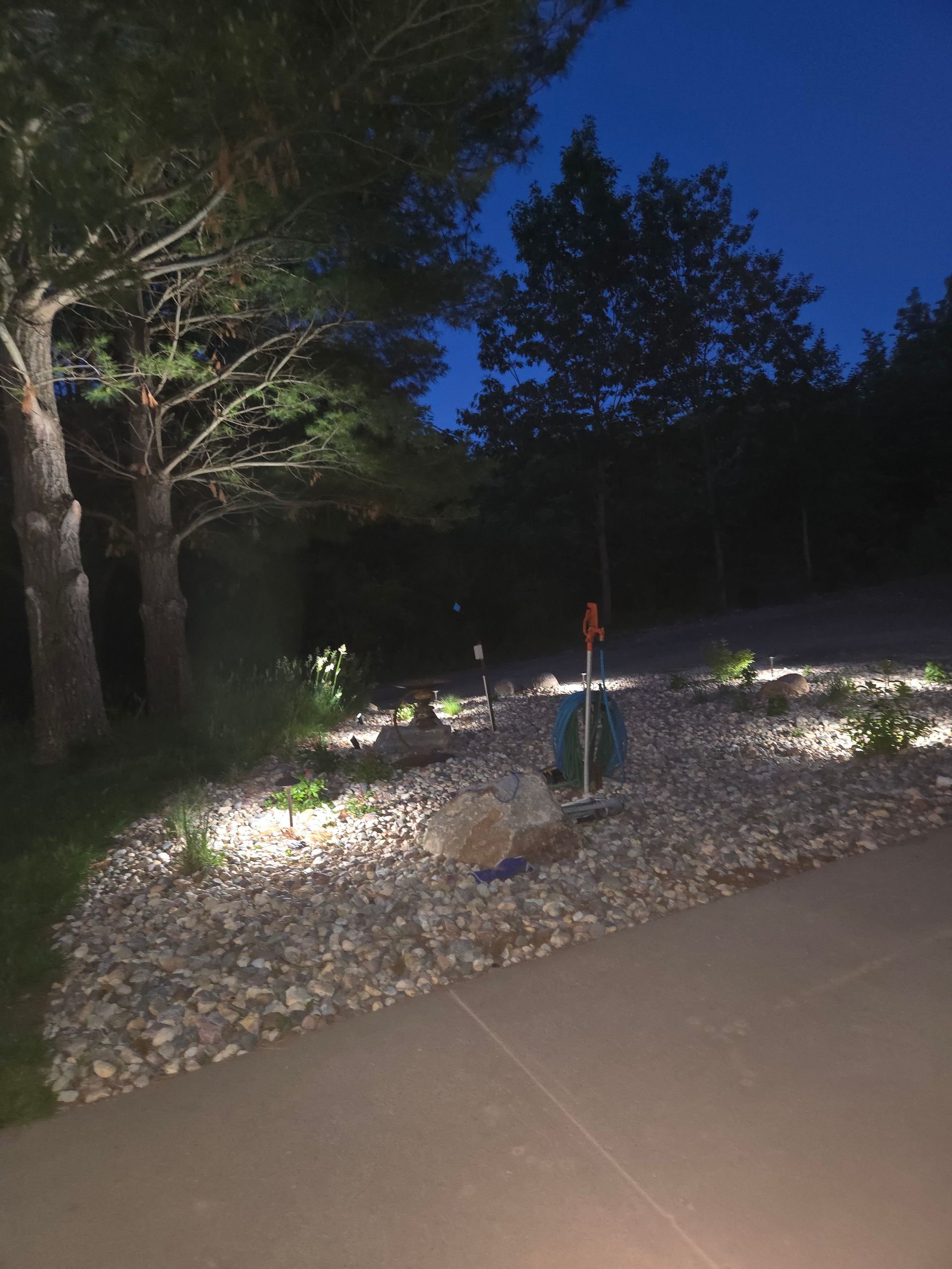 A driveway with trees and rocks lit up at night.