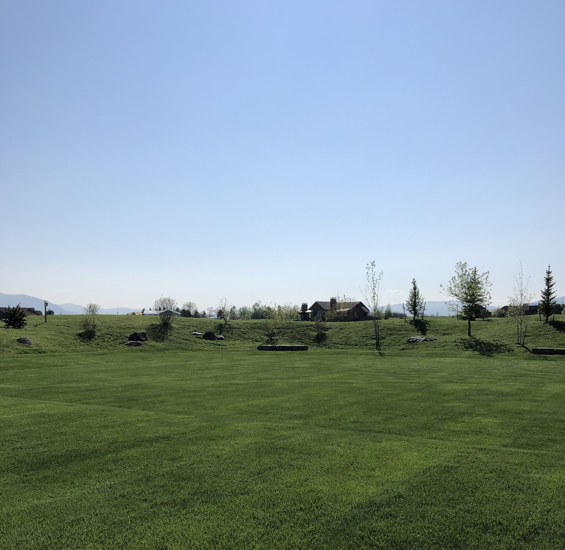 Wide green field with scattered young trees under a clear blue sky
