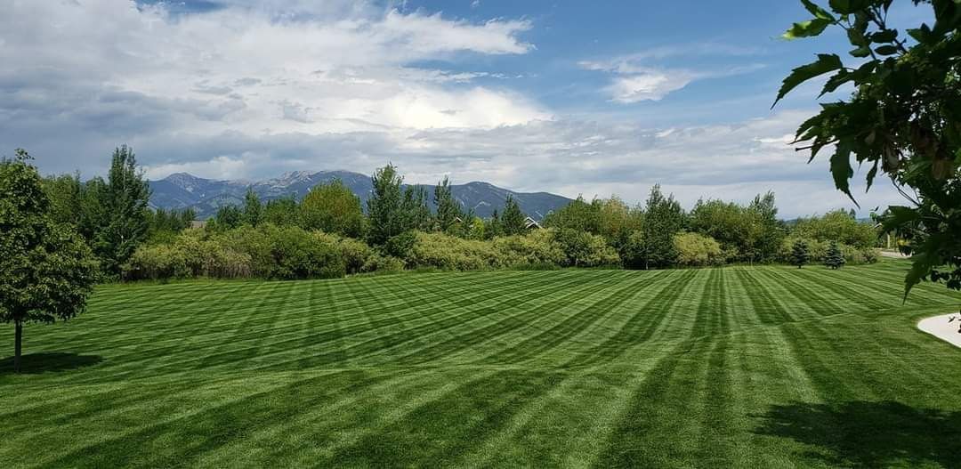 Green mowed lawn with rows of grass, trees, and mountains under a cloudy sky