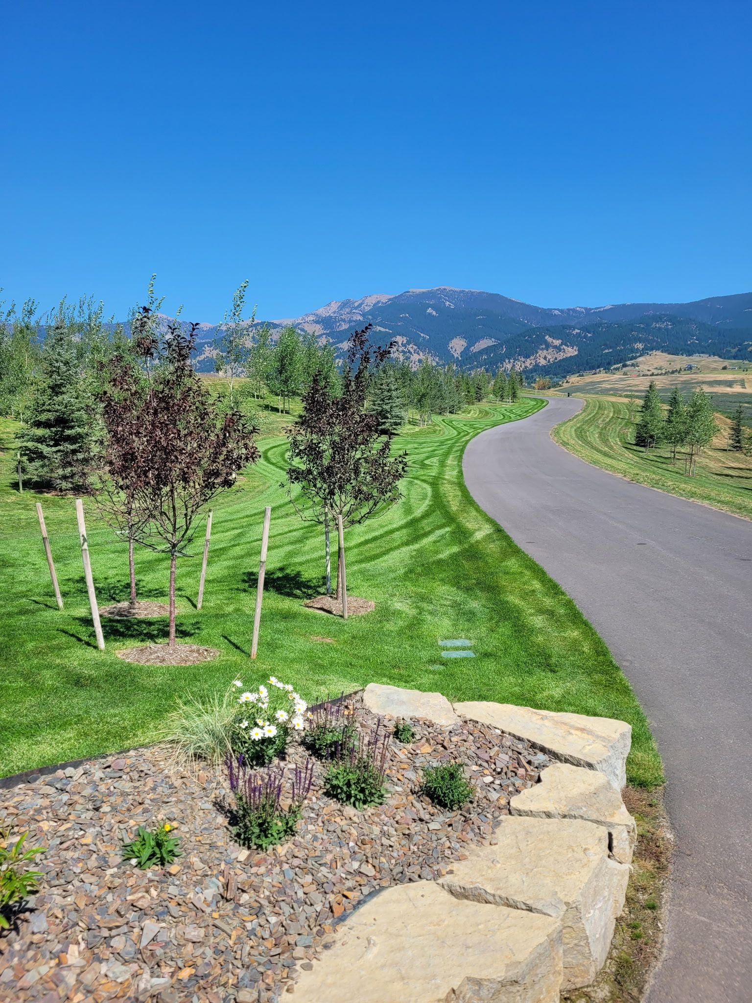 Winding paved path through green orchard with mountains under a clear blue sky