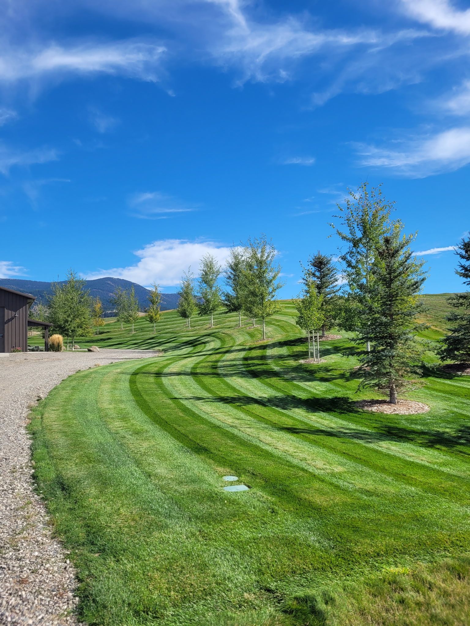 Curved green lawn with young trees beside a house, under a blue sky and mountain backdrop.