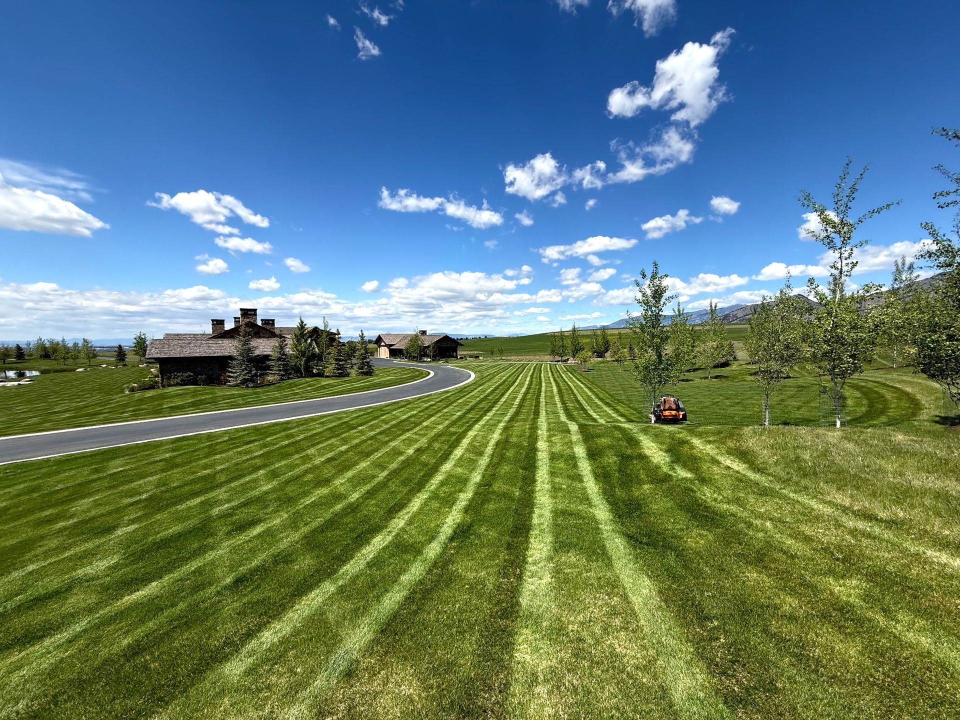 Mowed lawn with striped grass, a curved path, and a house under a bright blue sky with clouds