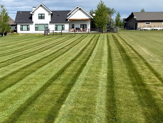 Wide green lawn with striped mowing lines leading to a white house and porch under a clear sky
