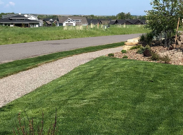 Gravel path beside a green lawn and road, with houses and trees in the distance.