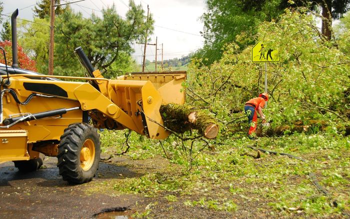 Storm damage cleanup