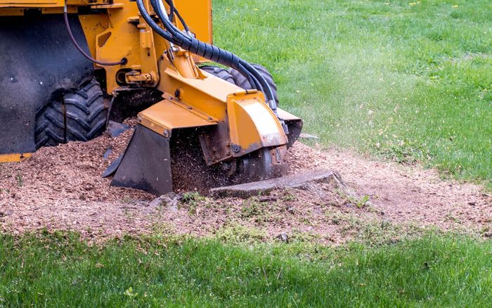 Stump grinding and removal