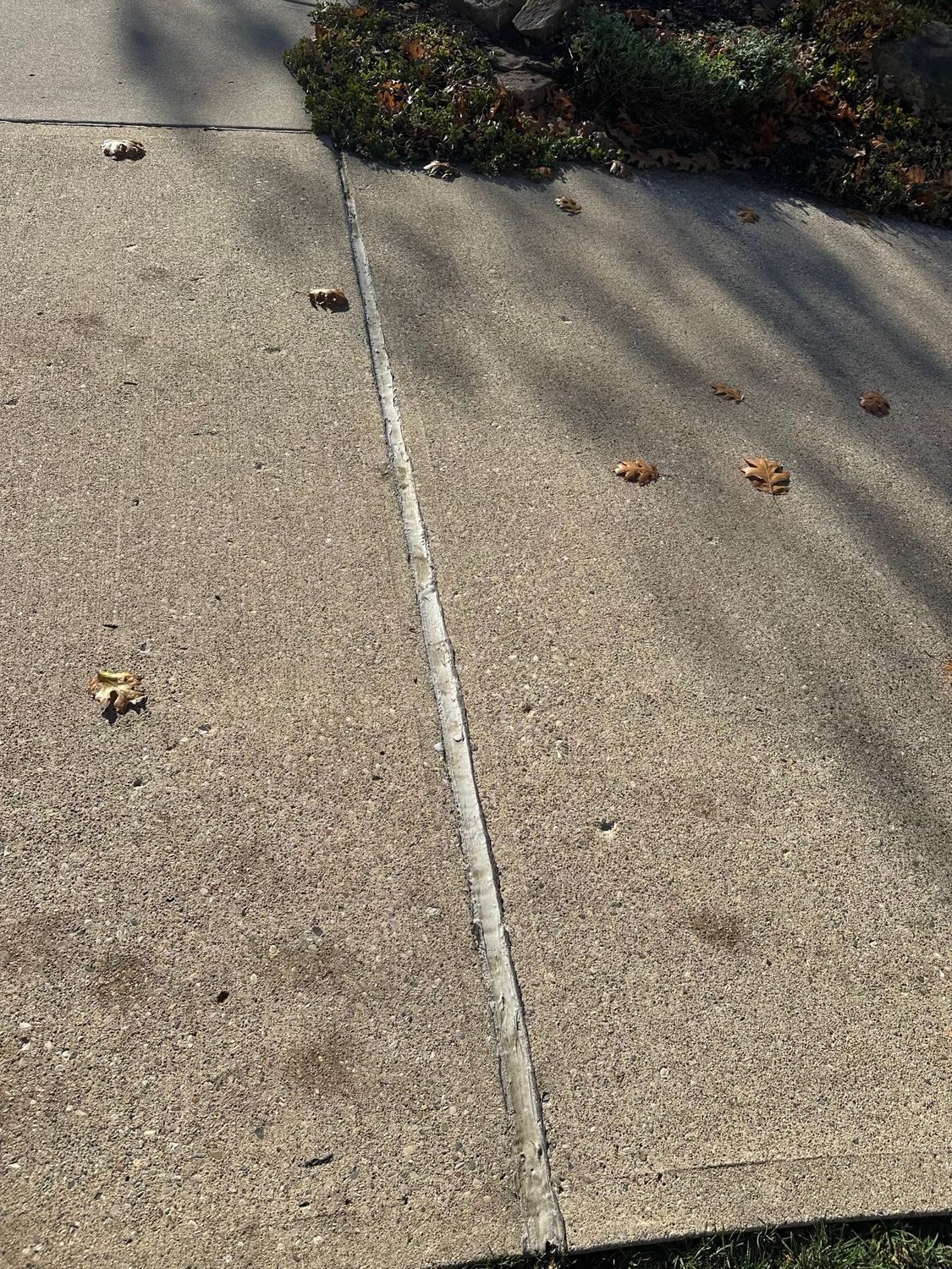 Concrete sidewalk with a crack, fallen leaves near a grassy edge.