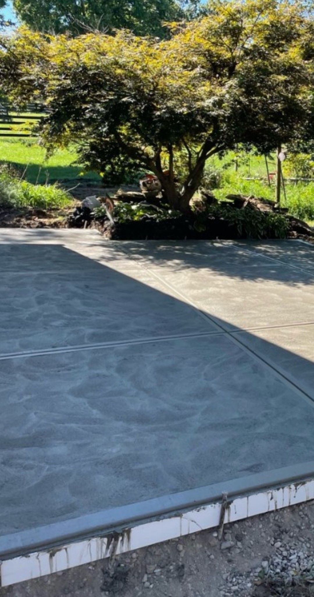 a concrete driveway with a tree in the background