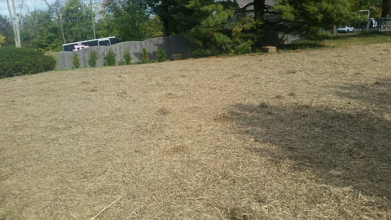 Yard Grading