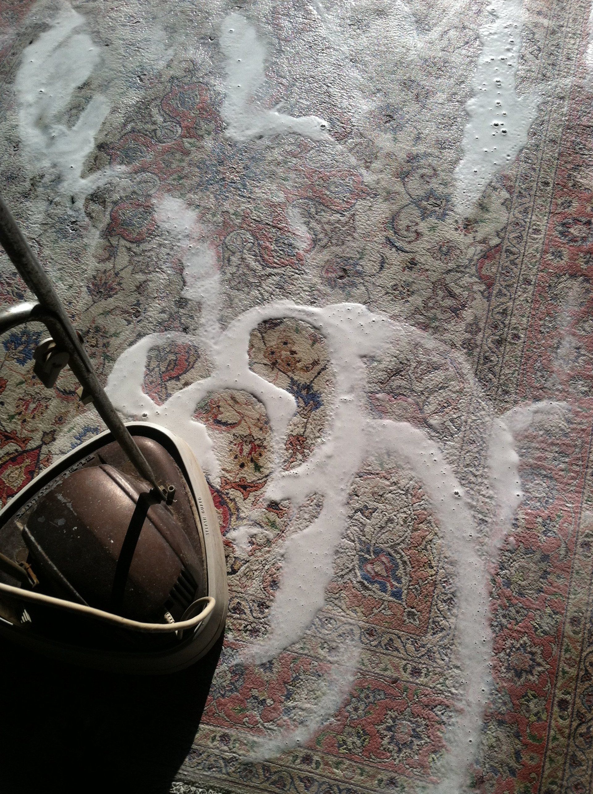 scrubbing clean the carpet