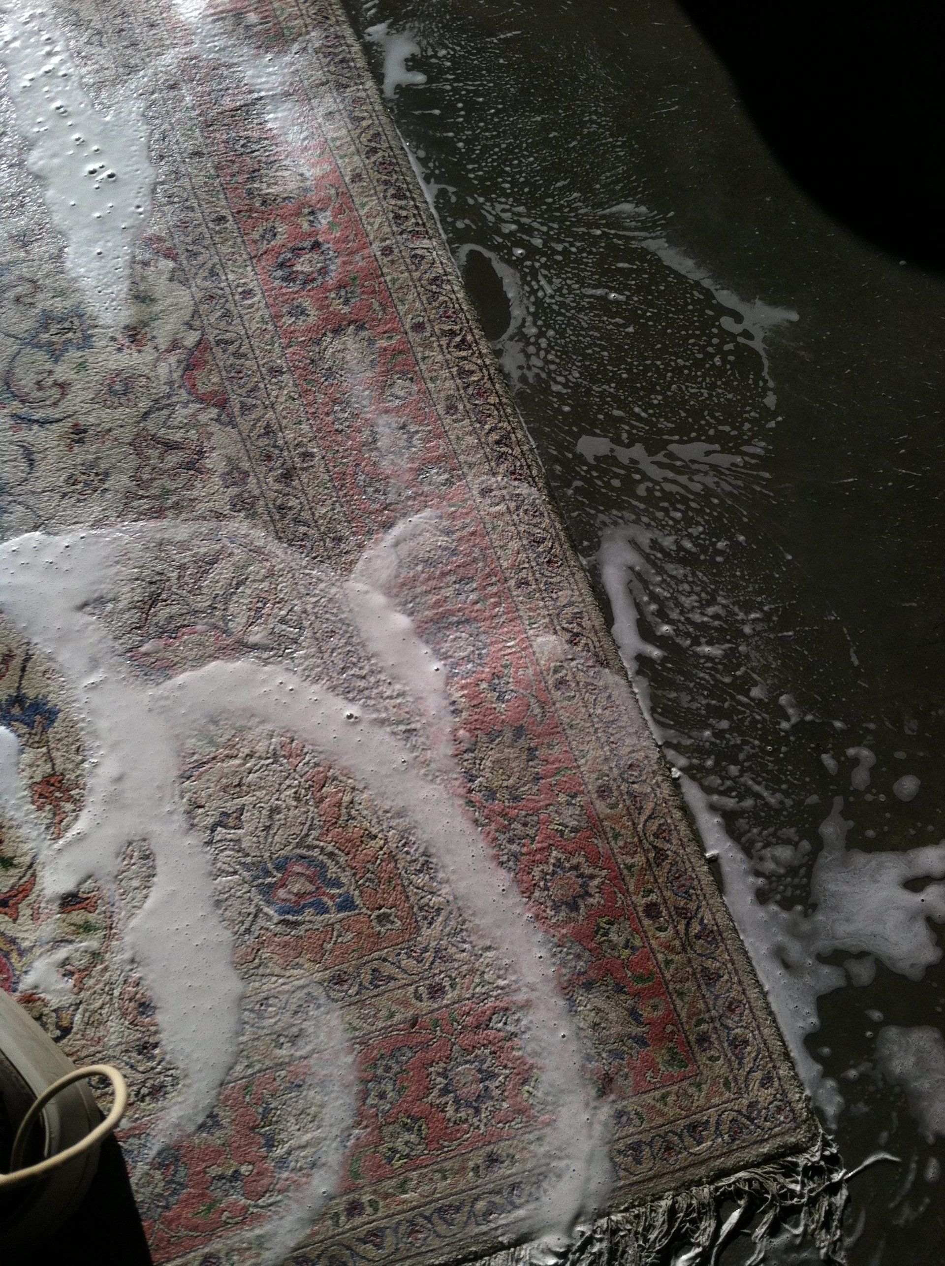 cleaning carpet with scrub