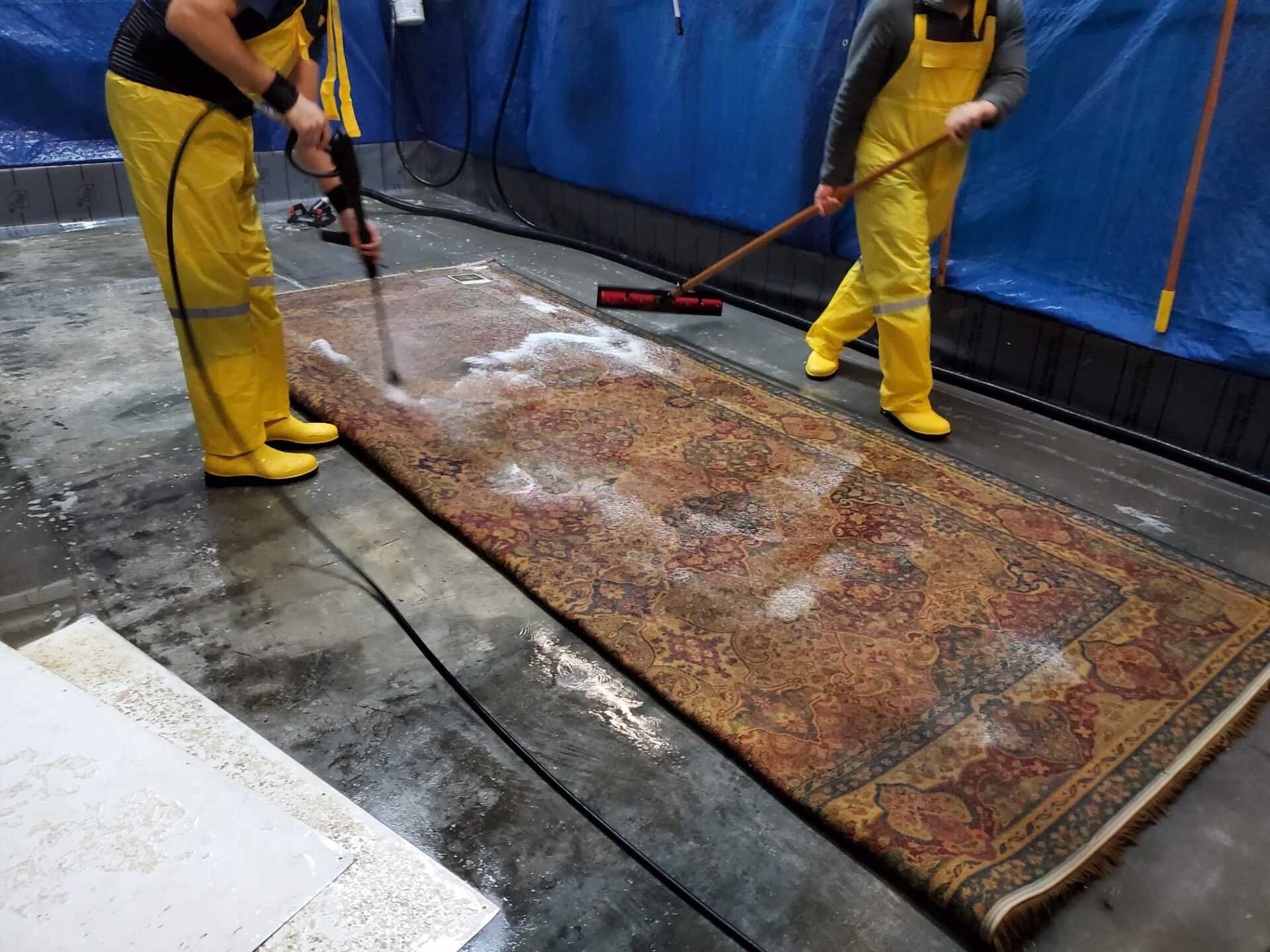 Two workers cleaning rug