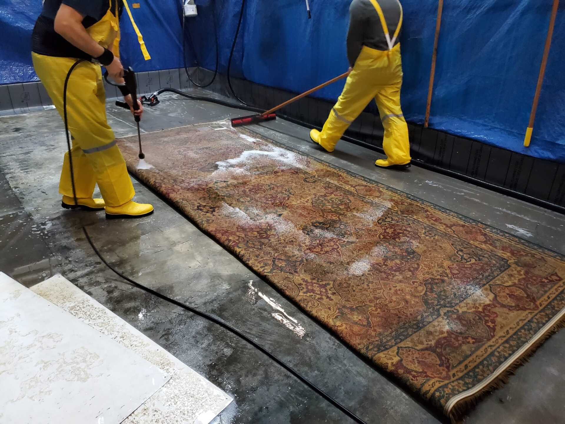 Workers cleaning rug with water