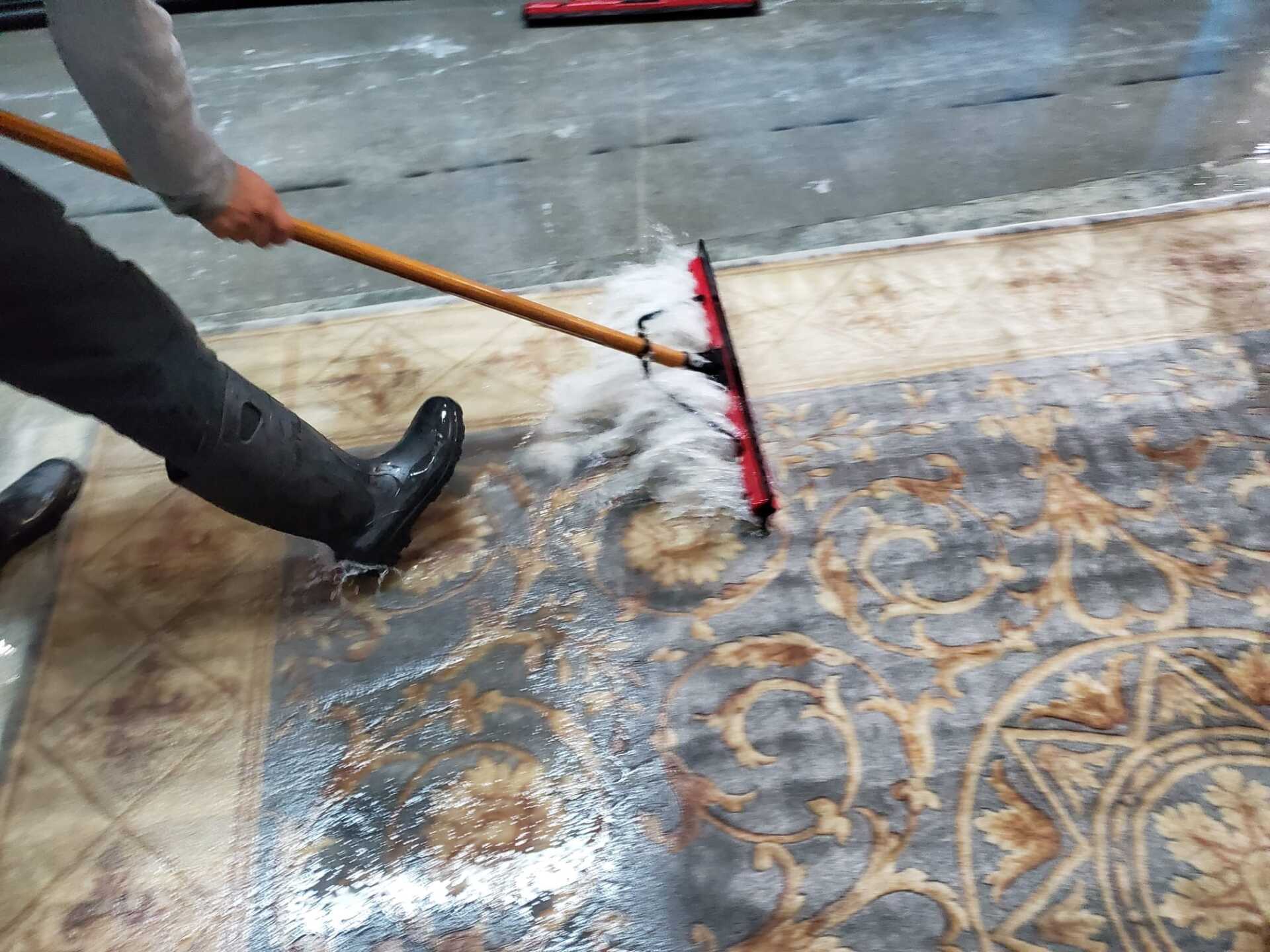 Worker removing excess water from rug