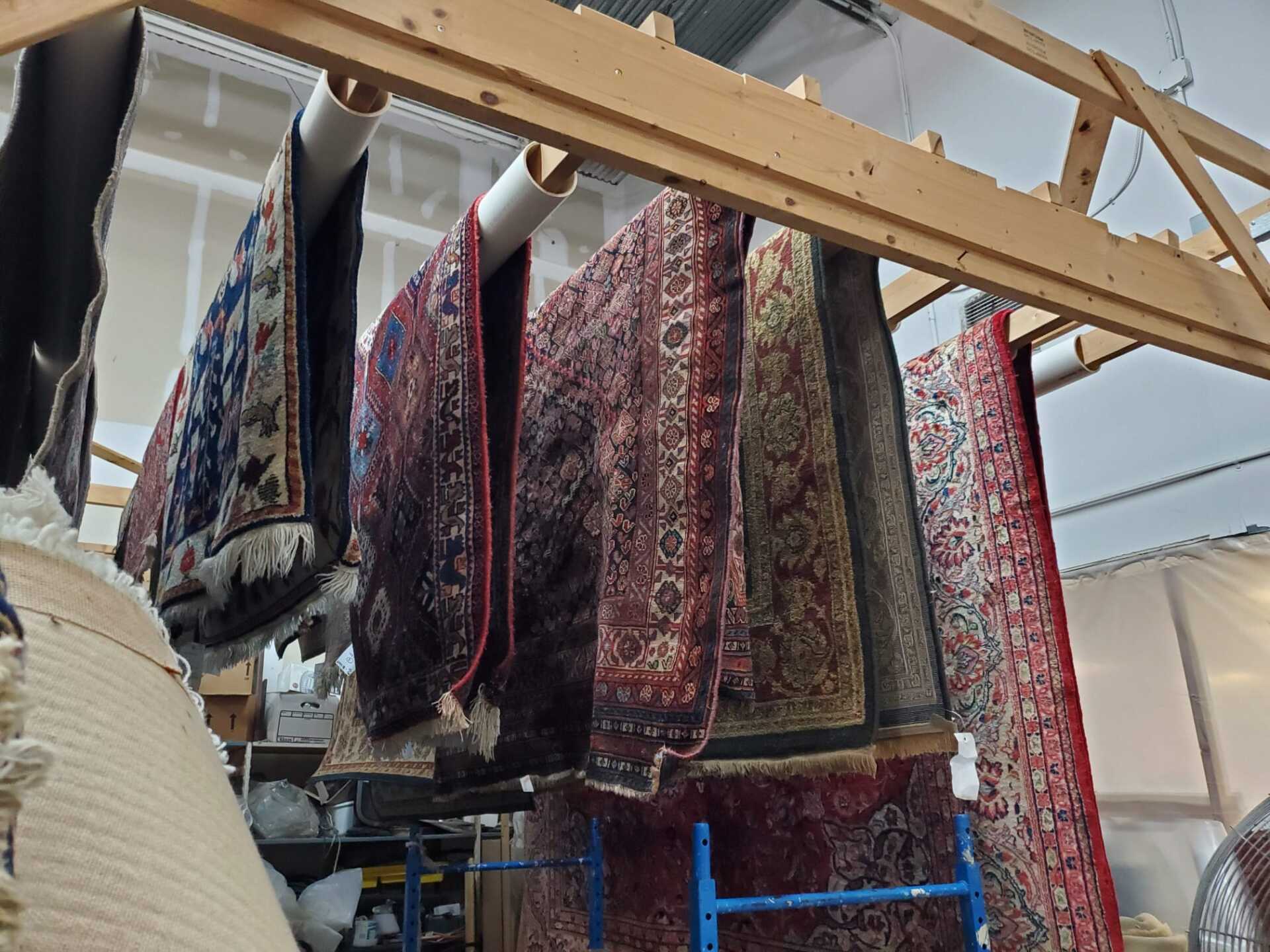 Rugs hung up for drying